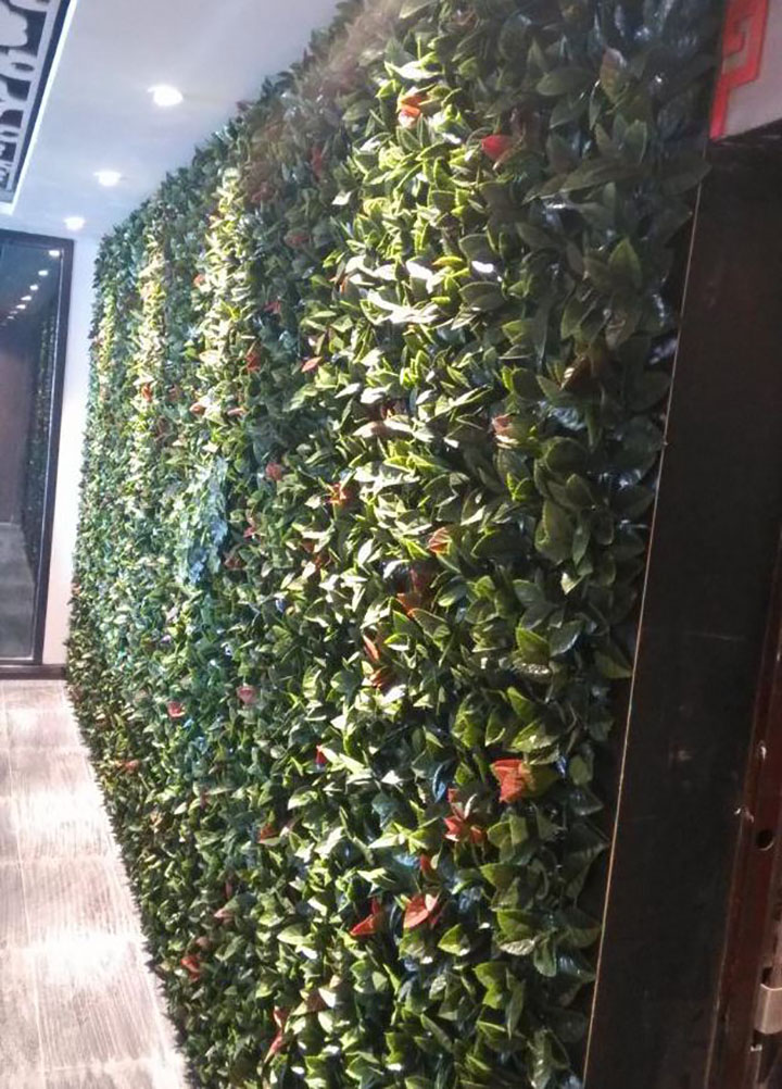 �҃�(n��i)����ֲ����bЧ���D