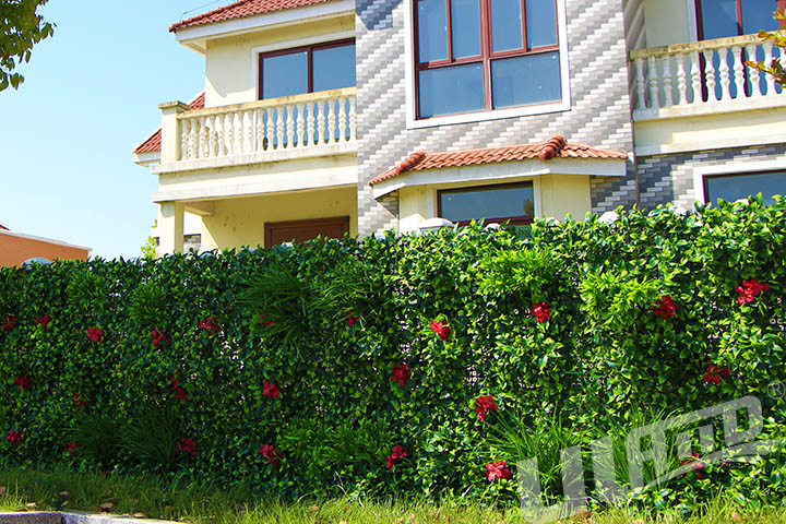 ����ֲ��bć����o��