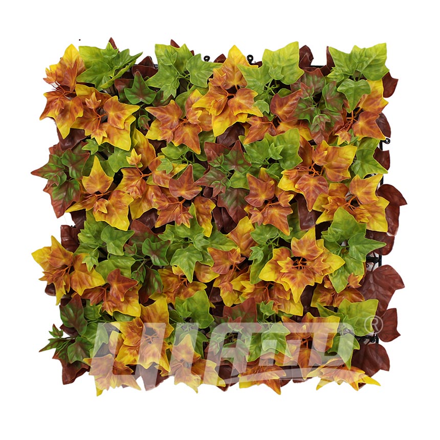 ����ֲ��A031