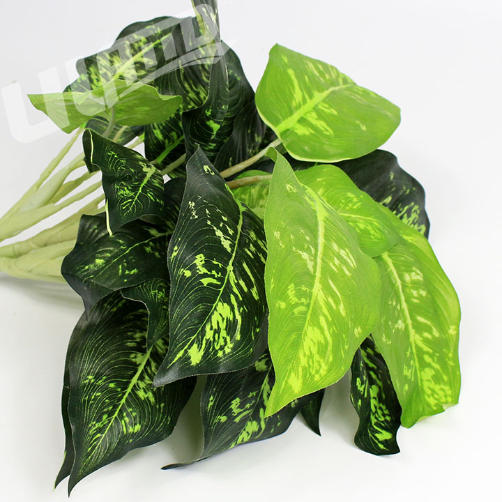 ����ֲ��