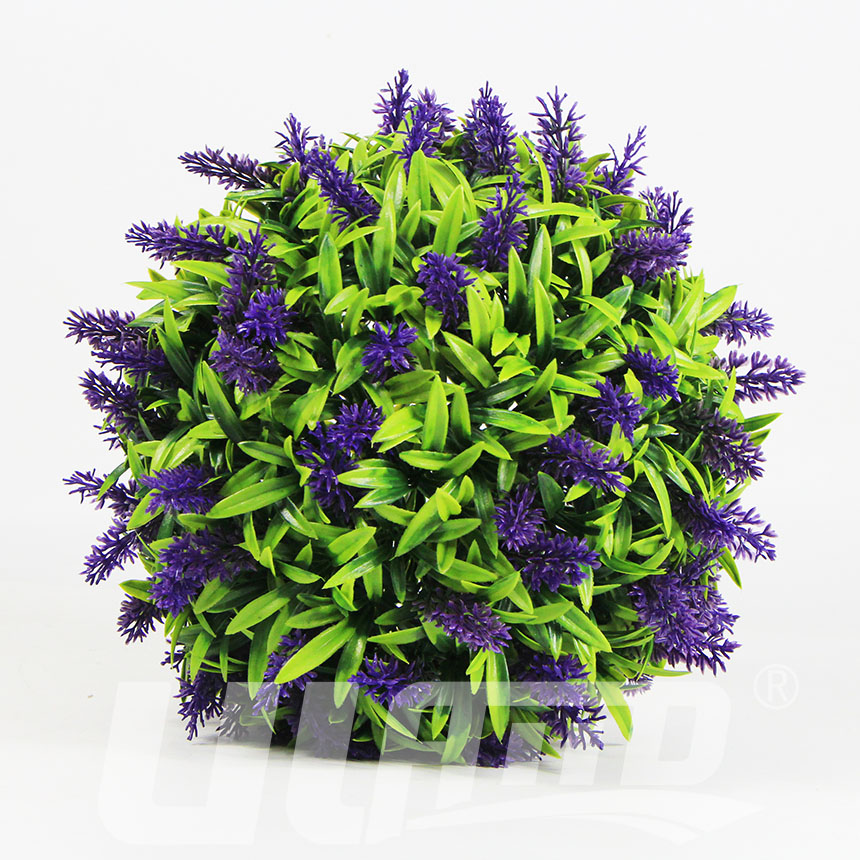 ����ֲ����