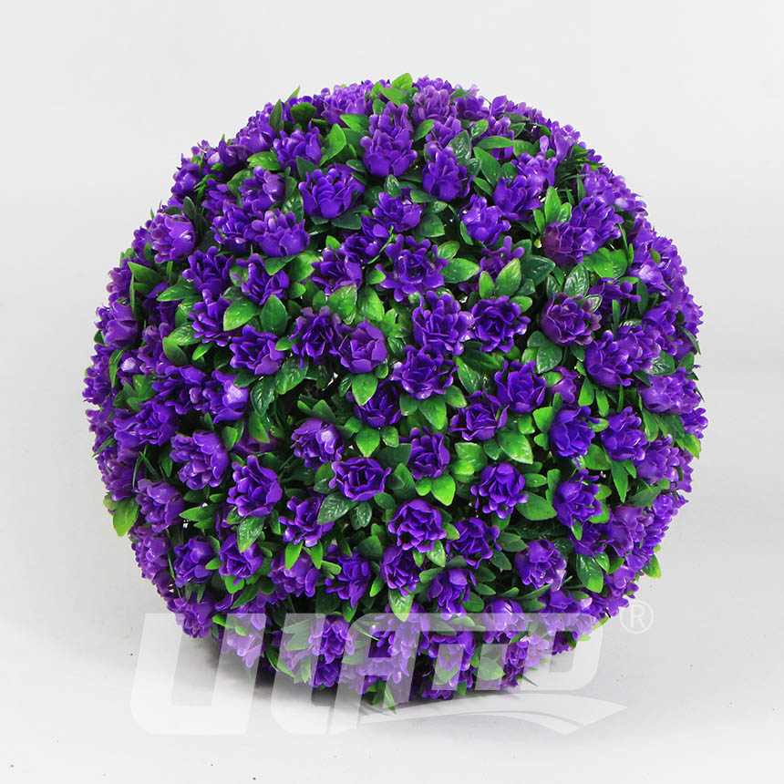 ����ֲ����2