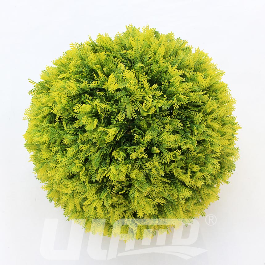 ����ֲ����3