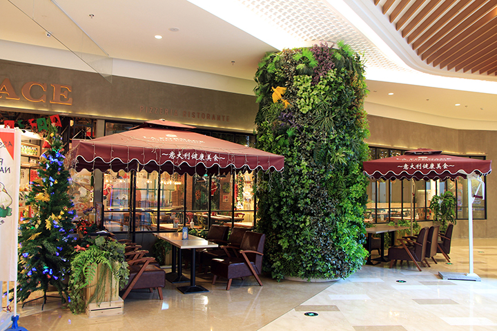 ����ֲ��b��̈�����