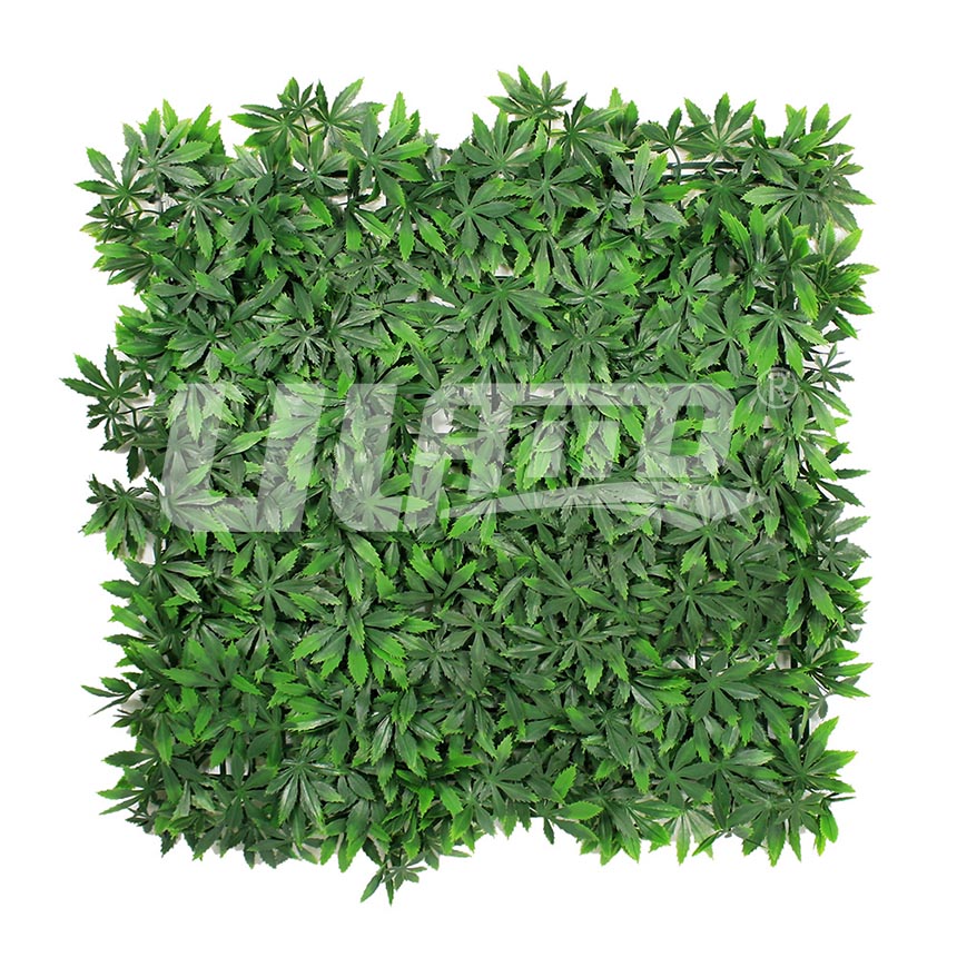 ����ֲ��A010�Gɫ