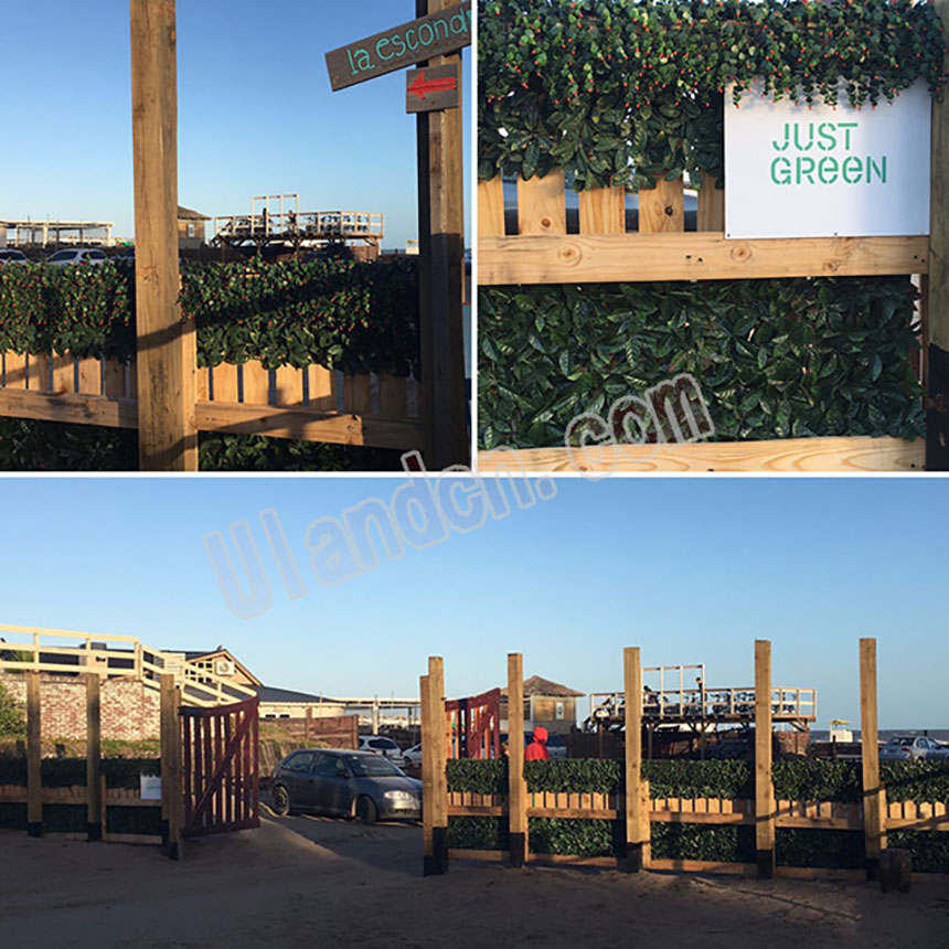 ����ֲ���bĖř�