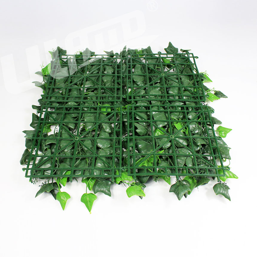 ����ֲ��ع��~����