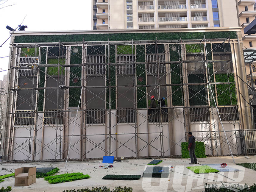 �����≦����ֲ�ʩ����