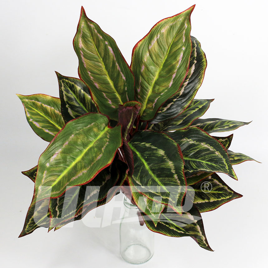 ����ֲ����~�f(w��n)����