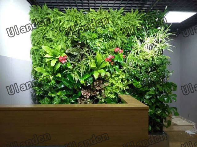 辦公前臺(tái)的仿真植物墻裝飾
