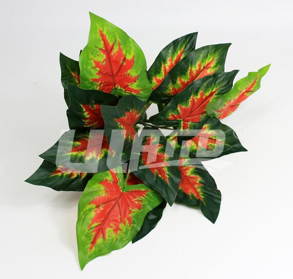 �t���^-����ֲ��