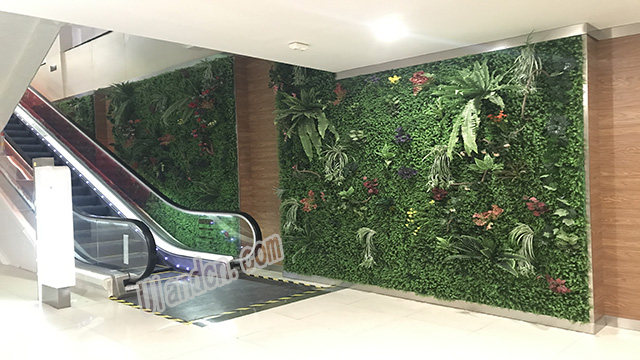 ���m��Uland������ֲ����ң�