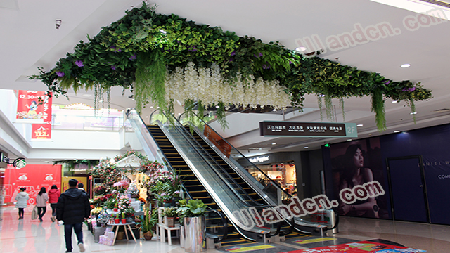 ���m��Ulandcn������ֲ����ң�