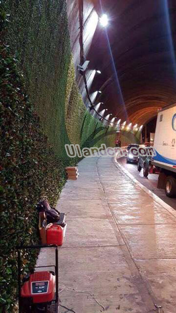 優蘭德Uland,仿真植物墻專家!