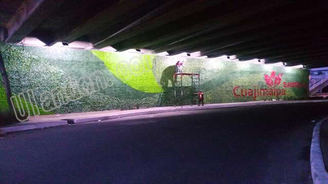 優蘭德Uland,仿真植物墻專家!