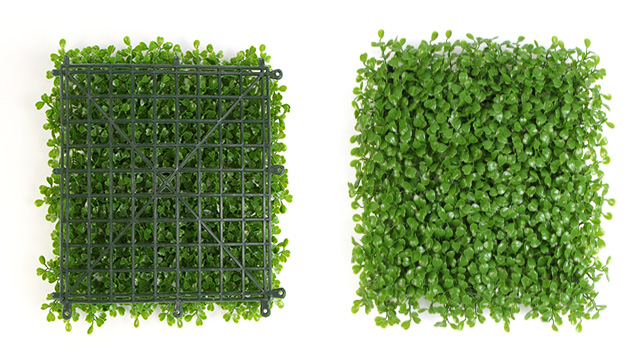 ���m��Uland������ֲ����ң�