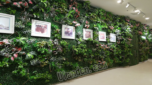 ���m��Uland������ֲ����ң�