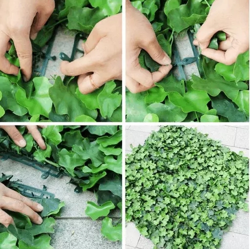 ����ֲ�ƴ��