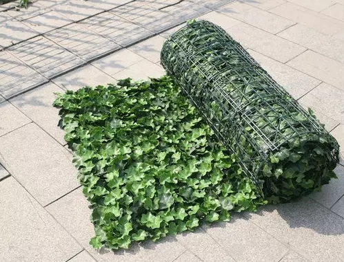 �������ֲ�