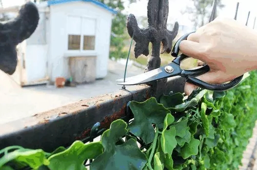 ����ֲ����b�ꮅ