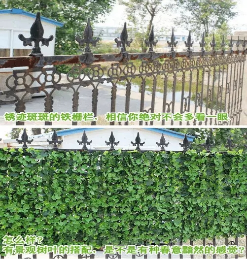 ����ֲ����bǰ�󌦱ȈD