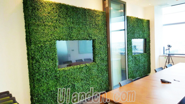 ����ֲ��S�ң����m��