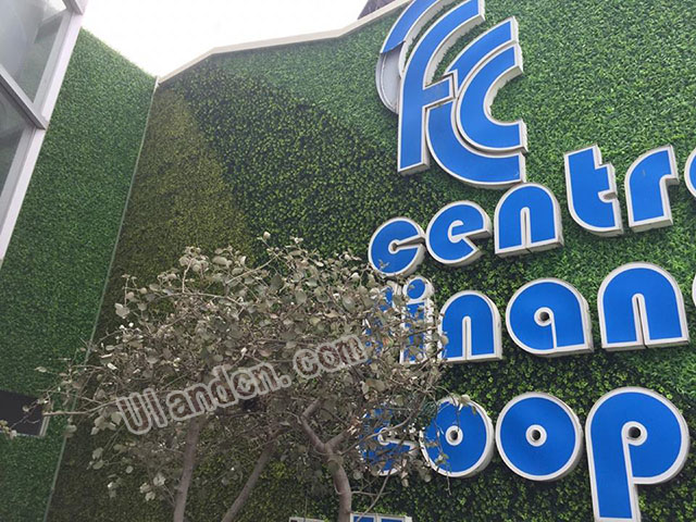 仿真植物墻廠家,優蘭德