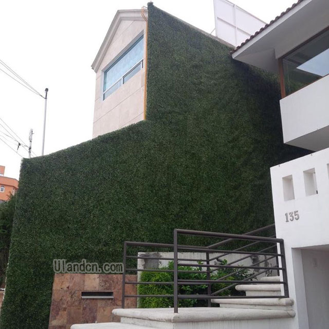 仿真植物墻廠家,優蘭德