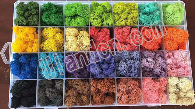 ����̦�\���a�S�ң����m�£�