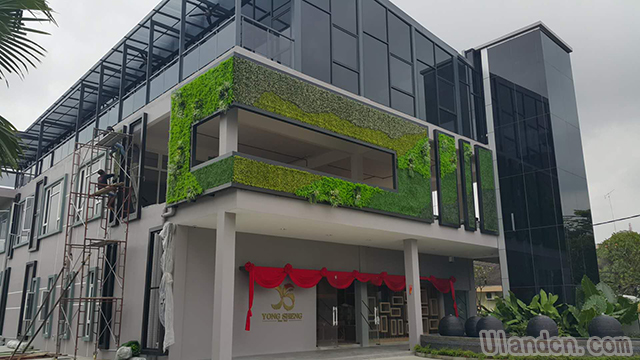 仿真植物墻廠家,優(yōu)蘭德