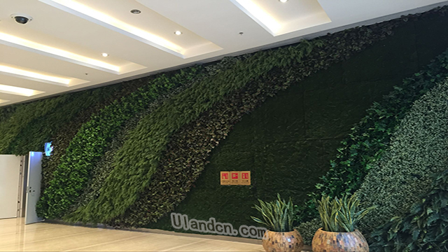 ���m�·���ֲ�