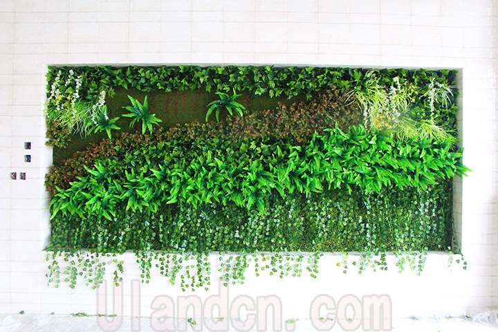 �҃�(n��i)����ֲ�