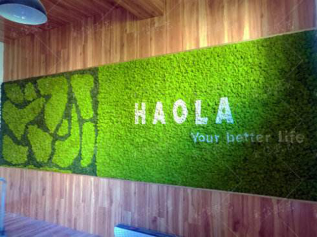 ����̦�\ֲ�