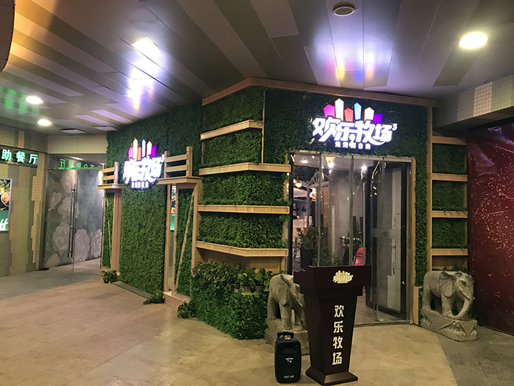 室內仿真植物墻