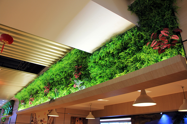 ����Gֲ���Ч���D