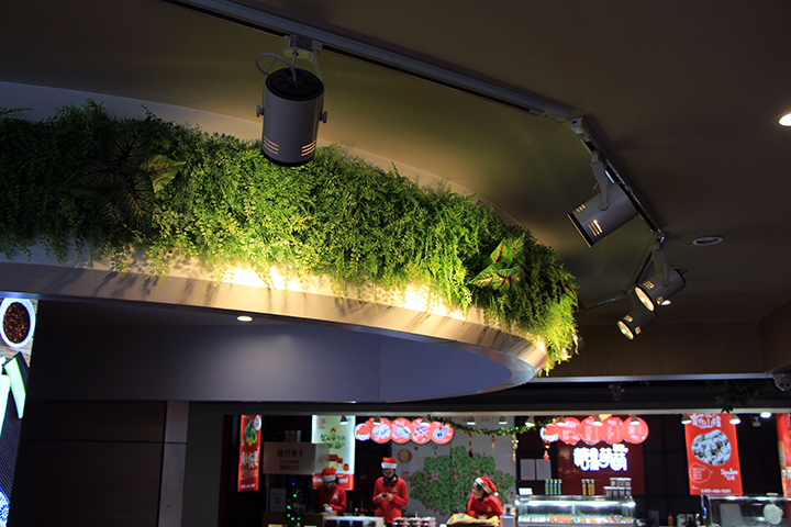 ����ֲ����Ч���D