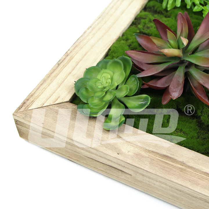 �������̦�\���