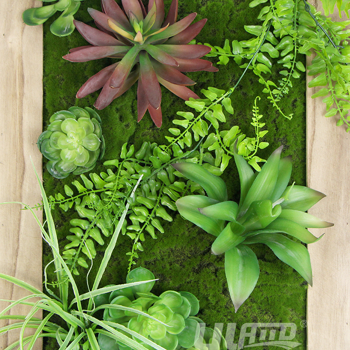 �������̦�\���