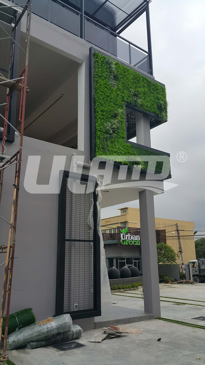 ����ֲ�Ч���D