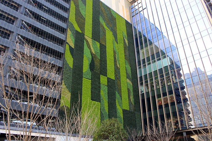 �������ֲ�Ч���D