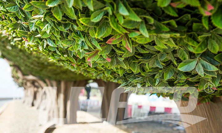 �������̸߼ܘ����G��