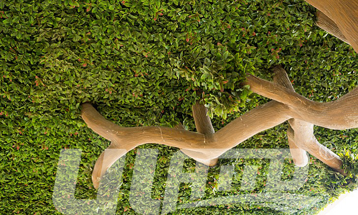 �������̸߼ܘ�G��