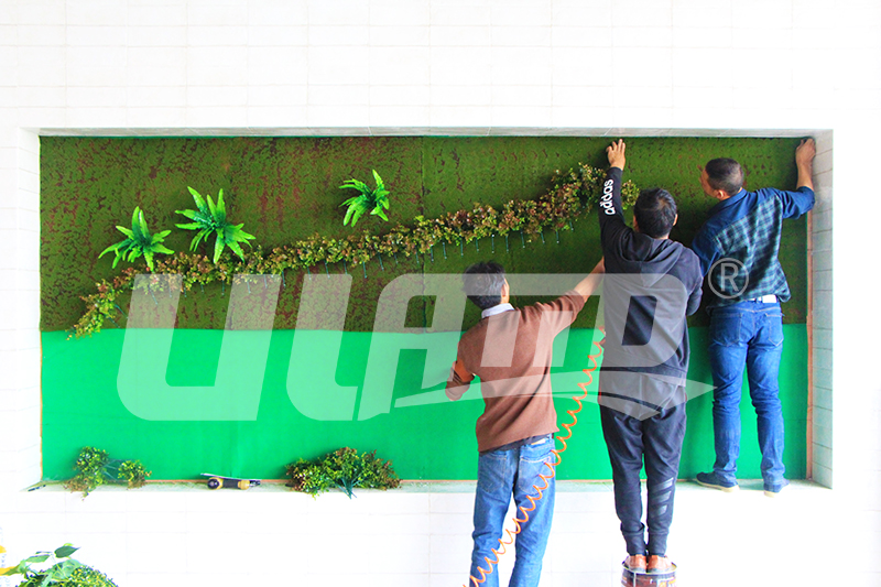 �҃�(n��i)����ֲ�