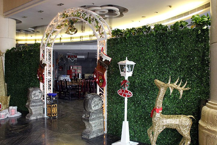 ������ֲ�