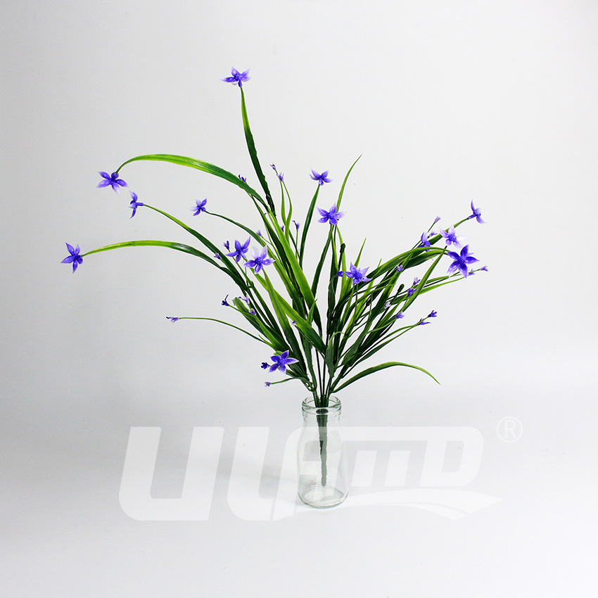 ����ֲ��