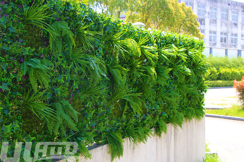 �e����������G��