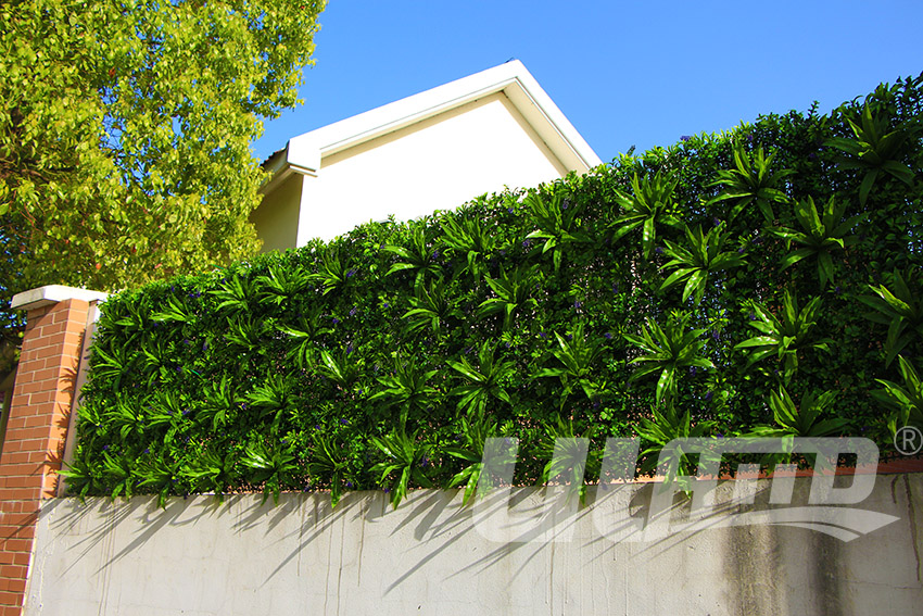 �e���o�ڷ���G��