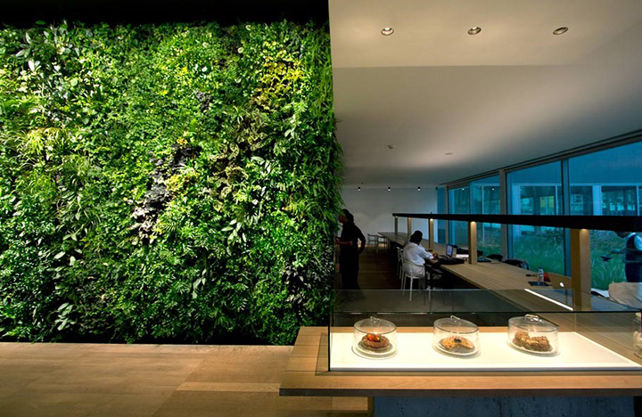 餐飲行業植物背景墻