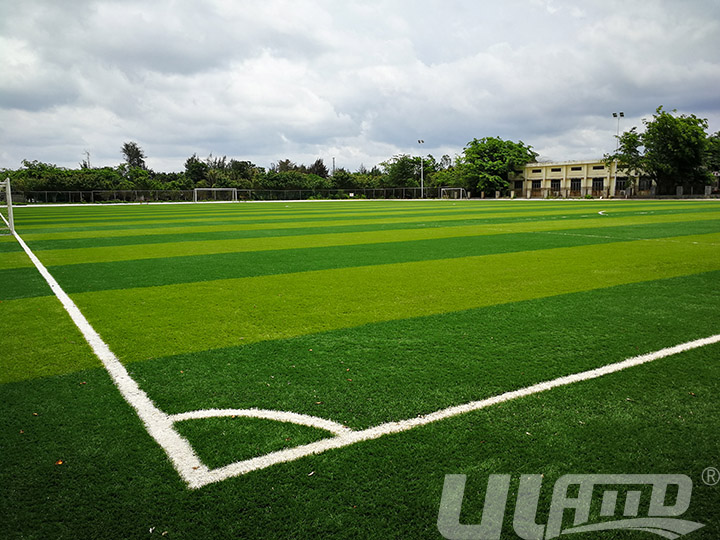 ����������ƺ