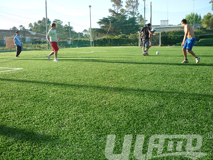 �\���������ƺ